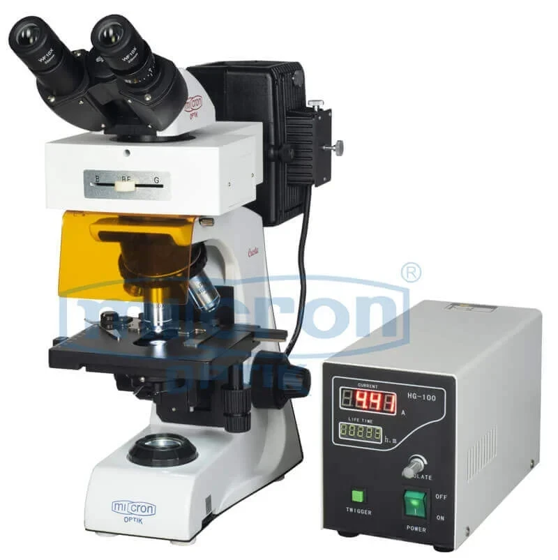 tissue processing steps