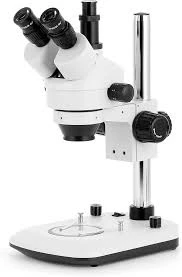 Best Stereo Microscope