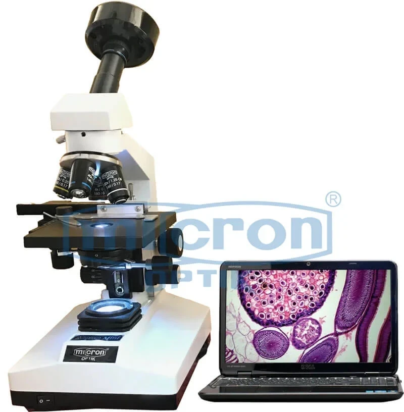 Digital Microscopes