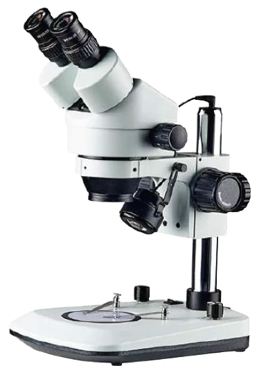 Stereo Microscopes
