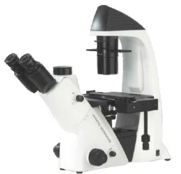 Inverted Microscopes